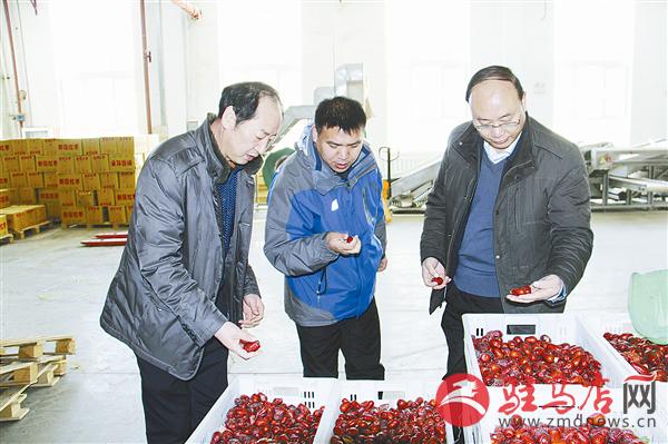 wub1701207.jpg