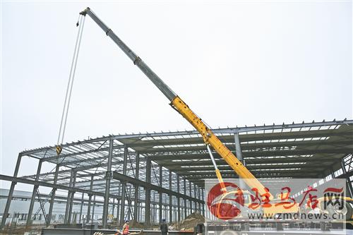 wub170493.jpg