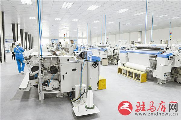 zhangz1505274.jpg