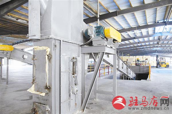 zhangz150684.jpg
