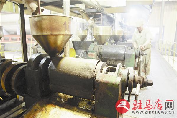 zhangz1506182.jpg