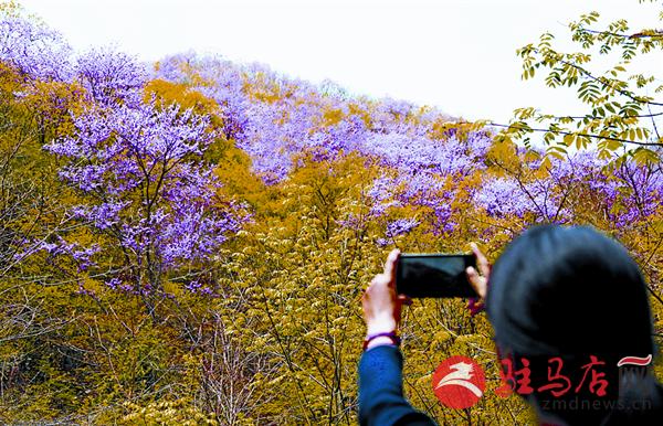 yuanzh160453.jpg