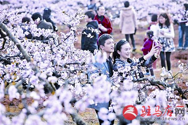 wangk17039.jpg