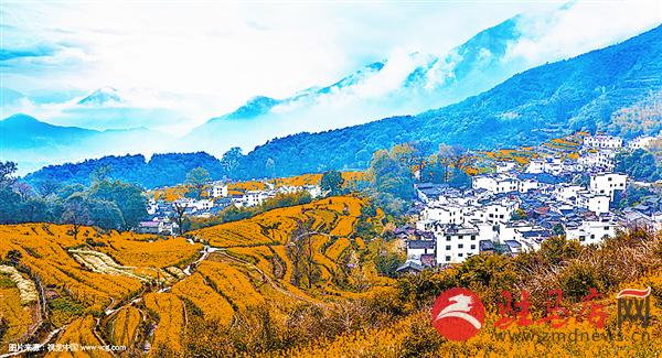 yuanzh170774.jpg