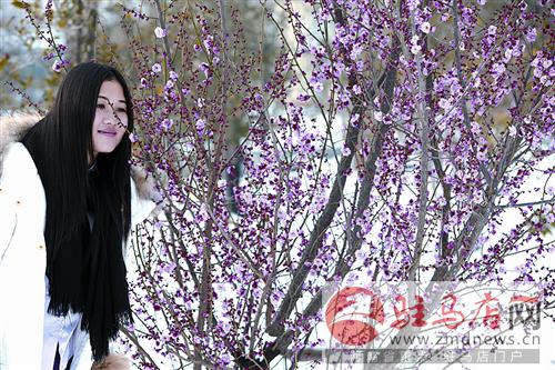 kanggf150215.jpg