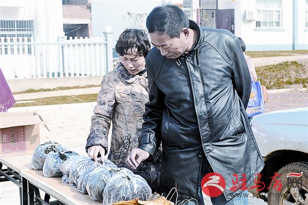 yuanzh1503140.jpg