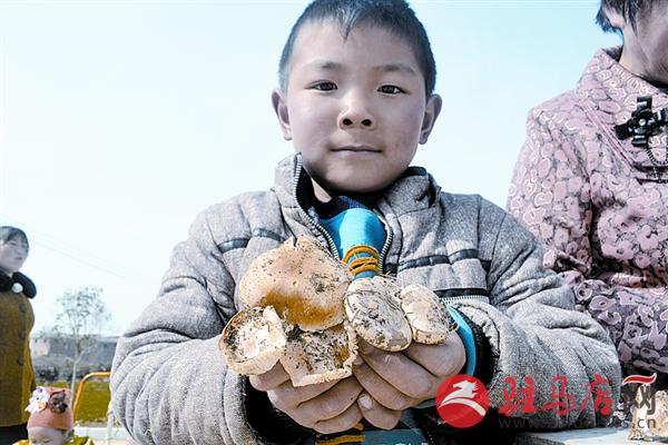 yuanzh1503141.jpg