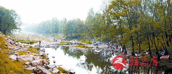 wangk150549.jpg