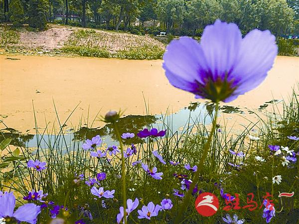 yuanzh150617.jpg