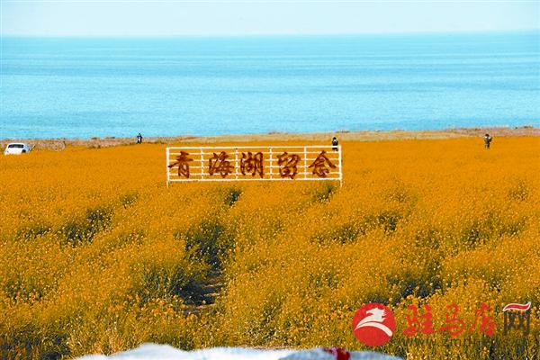 wangk1511117.jpg