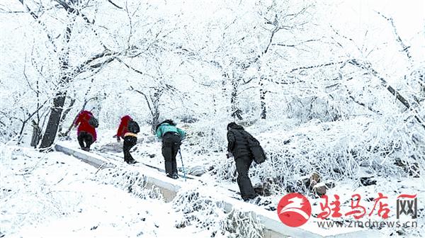 yuanzh160177.jpg