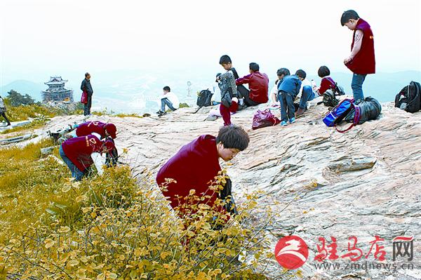 yuanzh160548.jpg