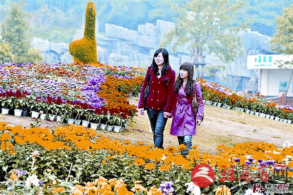 wangk161075.jpg
