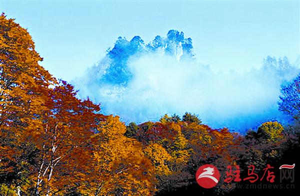 yuanzh161132.jpg