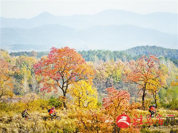 guols1709347.jpg