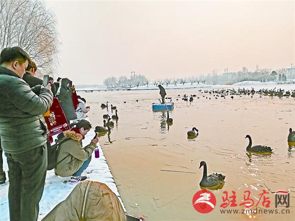 yuanzh1801118.jpg