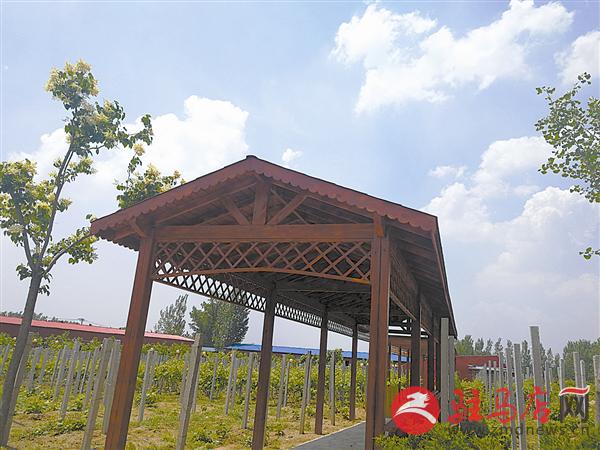 guols1805259.jpg