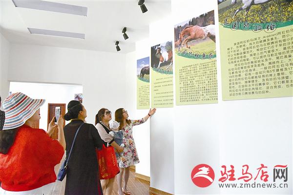 guols1805242.jpg