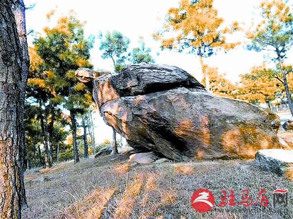 wangy18089.jpg