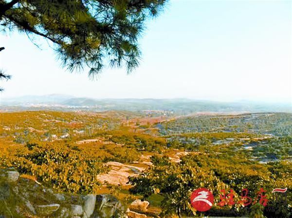 wangy180812.jpg