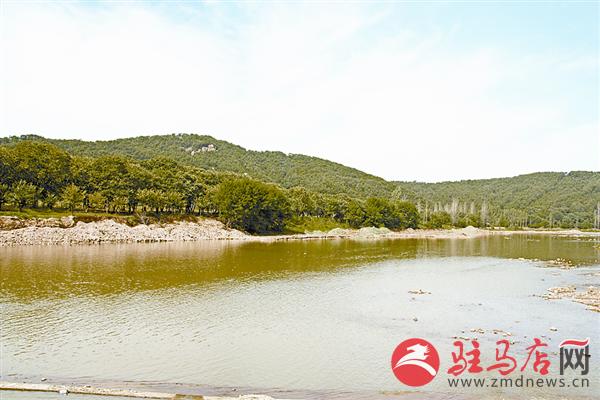 wangy1809491.jpg