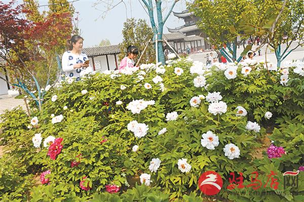 zhaol190434.jpg
