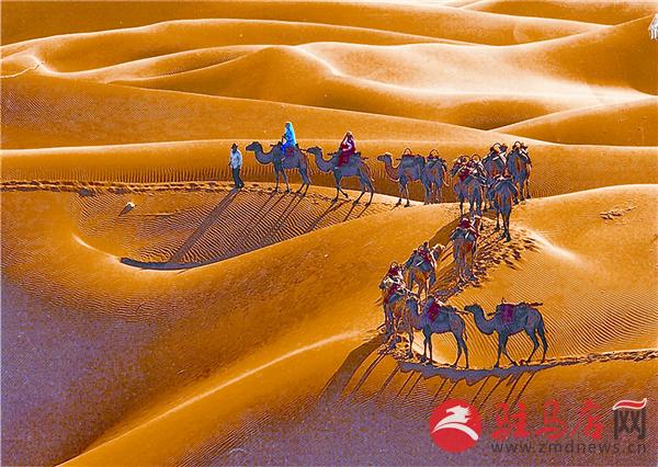 zhaol190466.jpg