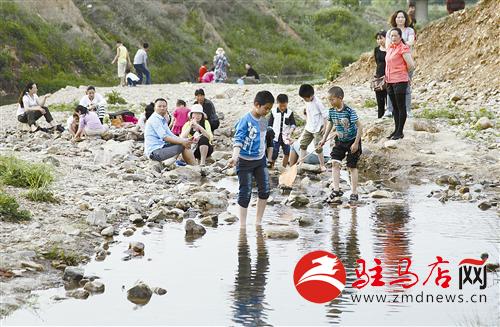 guols1405659.jpg