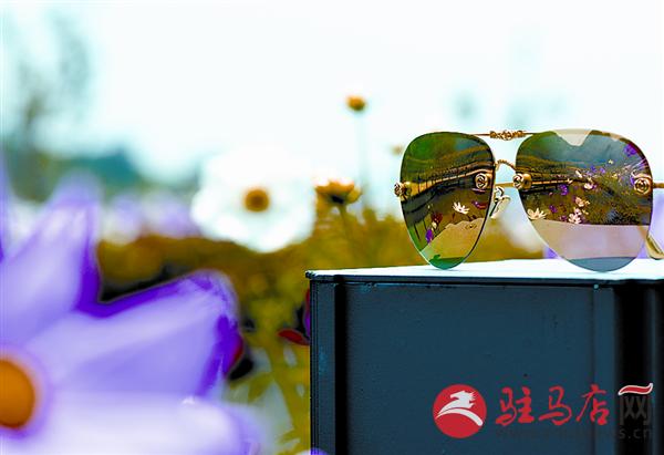 wangy160639.jpg