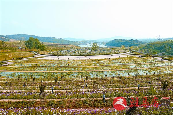 wangy160640.jpg