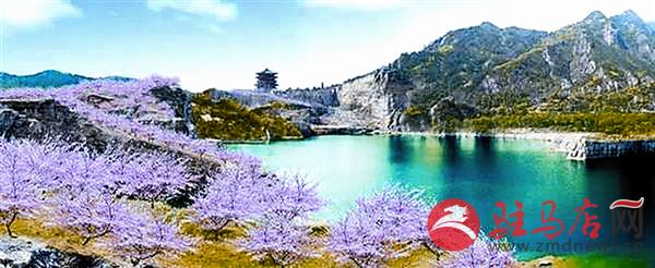 wangk170373.jpg