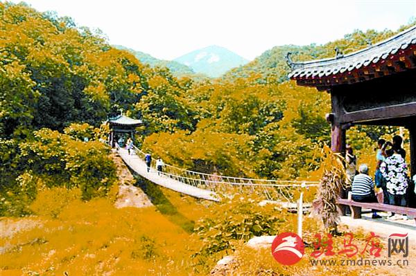 yuanzh1704106.jpg