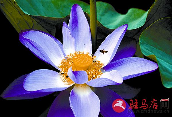 wangy170644.jpg