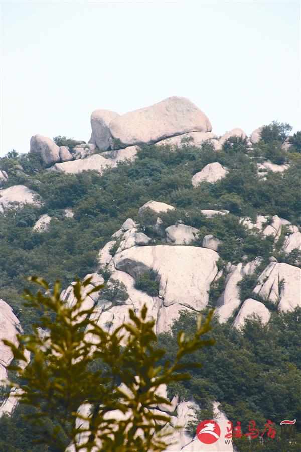 reny1707222.jpg