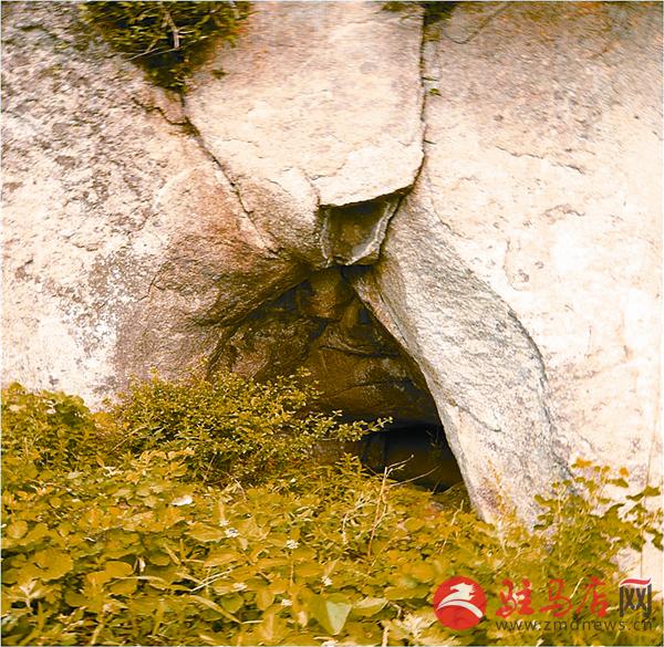 reny170861.jpg