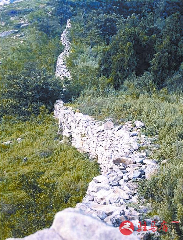 reny170868.jpg