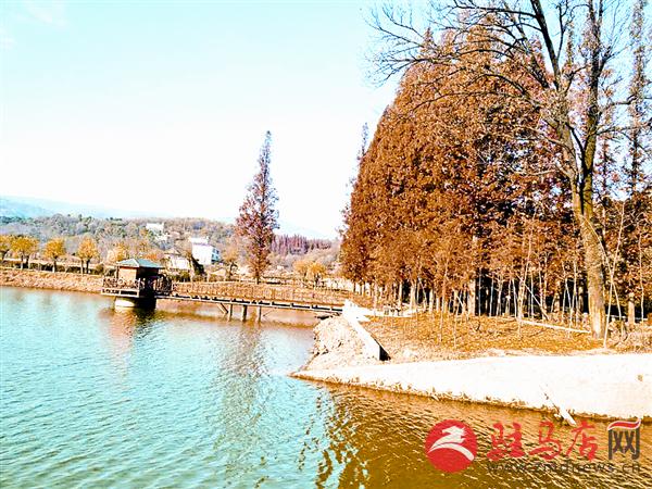 wangy1711721.jpg