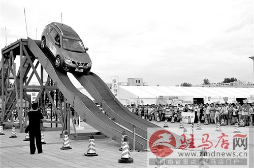 guols1407537.jpg