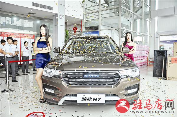 wub1605245.jpg