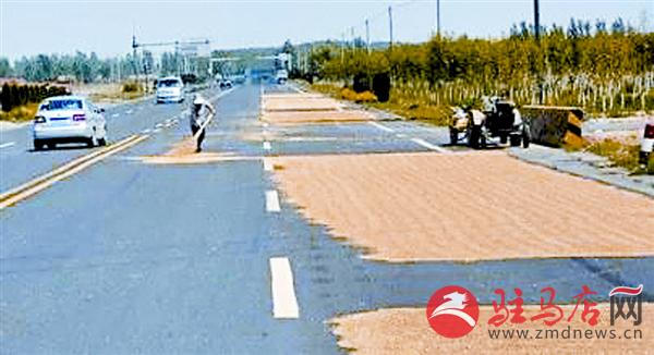 yuanzh16065.jpg