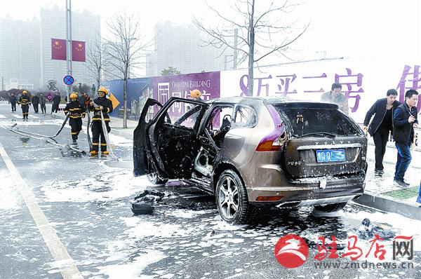 wangzh1703172.jpg