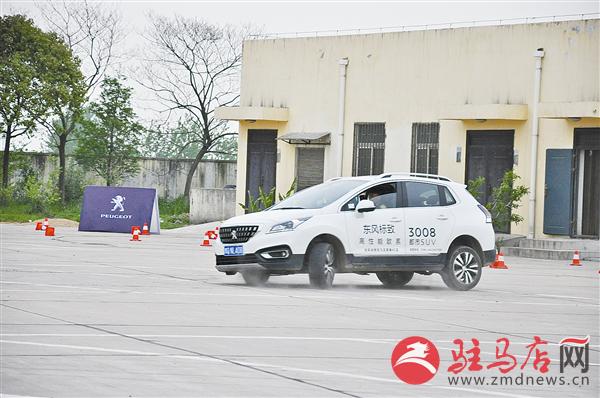 wub1704271.jpg
