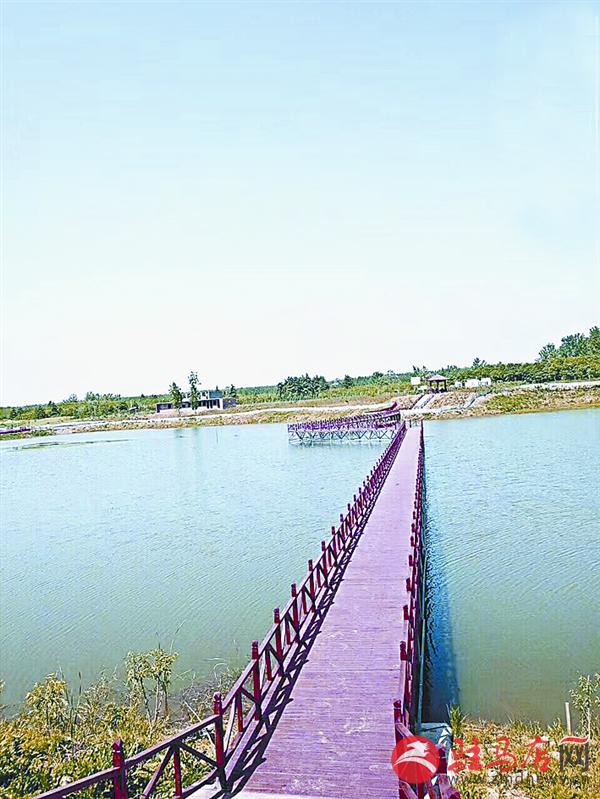 wangk170890.jpg