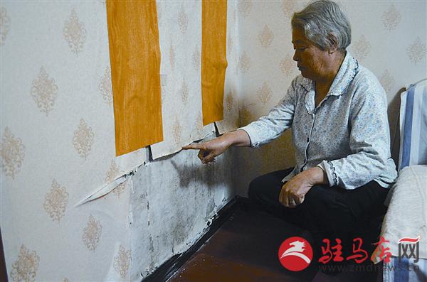 yaohf161229.jpg