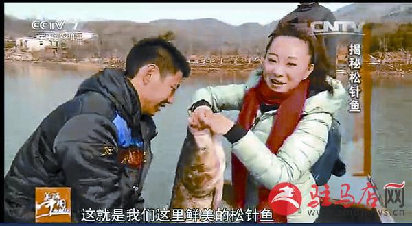 zhaol170320.jpg