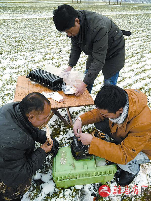 daih17025.jpg