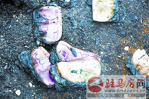 zhangxj150424.jpg