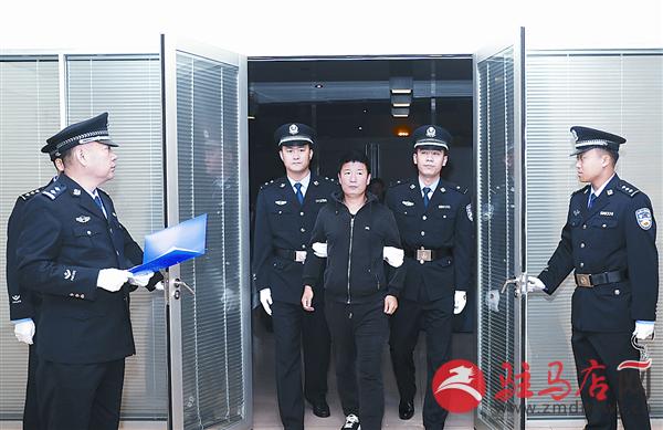 yangf161168.jpg
