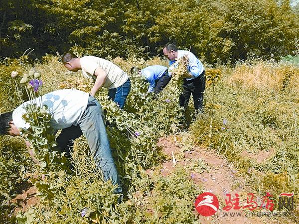 yuanzh1705113.jpg