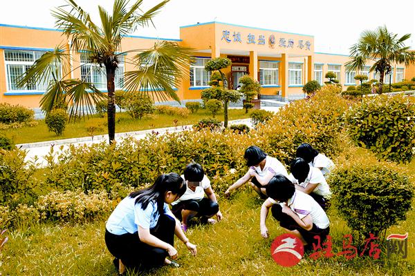 yaohf1706127.jpg